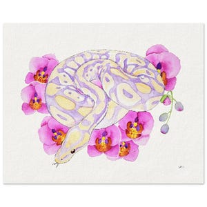 Op de afbeelding: Waterverfschilderij van een slang die zich oprolt tussen levendige roze orchideeën. De slang heeft een patroon van gele en lavendelkleurige markeringen. Het kunstwerk is geplaatst tegen een witte achtergrond, die de kleuren van de slang en bloemen benadrukt.