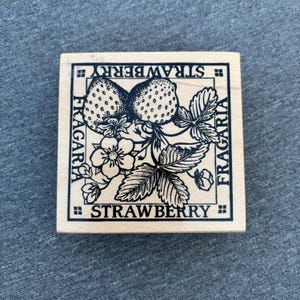 vintage rubber stamp - strawberry fragaria fruit stamp - botanical stamp PSX rubber wood mount stamp