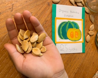 Organic Kabocha Pumpkin Seeds