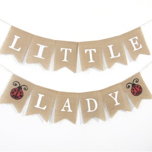 Little Lady Baby Shower, Lady Bug Shower Decorations, Lady Bug Banner, Little Lady Banner, Lady Bug Themed party, Lady bug Baby Shower