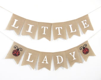 Little Lady Baby Shower, Lady Bug Shower Decorations, Lady Bug Banner, Little Lady Banner, Lady Bug Themed party, Lady bug Baby Shower