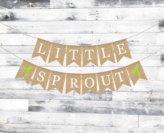 Little Sprout Baby Shower, Little Sprout Shower Decoration, Baby Shower Burlap Banner, Farmers Market Baby Banner, Locally Grown Baby Shower