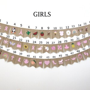 May include: A burlap banner with pink and white illustrations of various girls' themes, including a unicorn, a flamingo, a crown, a teapot, a cupcake, a ballerina, a pineapple, a rainbow, a ladybug, a butterfly, a sunflower, a watermelon, a cactus, a Christmas tree, a rocking horse, a pair of ballet shoes, a daisy, a pumpkin, a bow, a teacup, a star, a llama, a purse, a pink ribbon, a heart, a shoe, a peach, a cross, a boot, and a bird. The banner is numbered 1 through 52.
