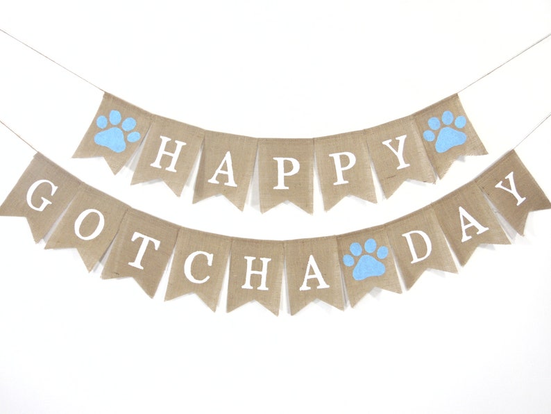 May include: A burlap banner with the text "Happy Gotcha Day" in white letters. The banner has blue paw prints on each end and in the middle.