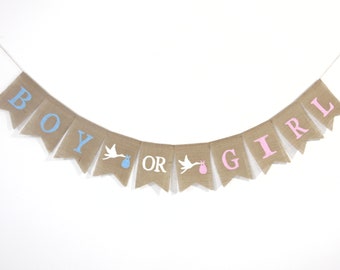 May include: A burlap banner with the words "Boy or Girl" in blue and pink letters. The banner is decorated with white storks carrying blue and pink packages.