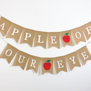 Apple of our eye Baby Shower, Fall Baby Shower Decorations, Apple of our Eye Banner, Apple Baby Shower Decor, Apple of our Eye, Apple Banner