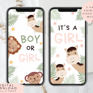 Video de revelación de género digital de niña, anuncio de niña, video de anuncio de género, anuncio de embarazo de safari, revelación de niña, 335