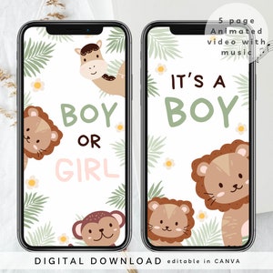 Video de revelación de género digital de niño, anuncio de que es un niño, video de anuncio de género, anuncio de embarazo de safari, revelación de que es un niño, 335
