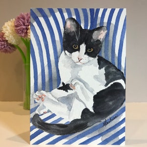 Lot de 6 | Lot de cartes de voeux chats variés | Lot de 6 cartes | minou
