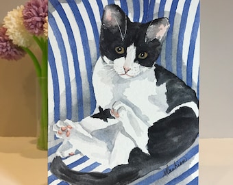 Set of 8 | Various Cat Greeting Card Pack | Bundle of 8 Cards | Kitty
