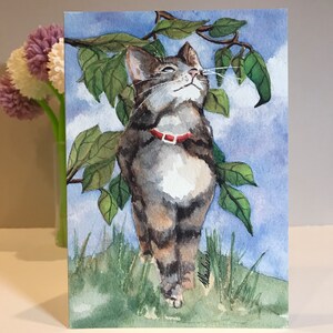 May include: Watercolor painting of a tabby cat with a red collar looking up at the sky. The cat is standing in a field of green grass with green leaves above it.