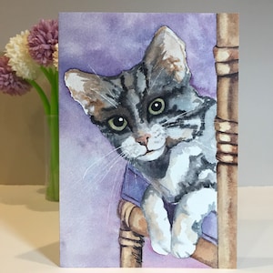 Set of 6 | Various Cat Greeting Card Pack | Bundle of 6 Cards | Kitty