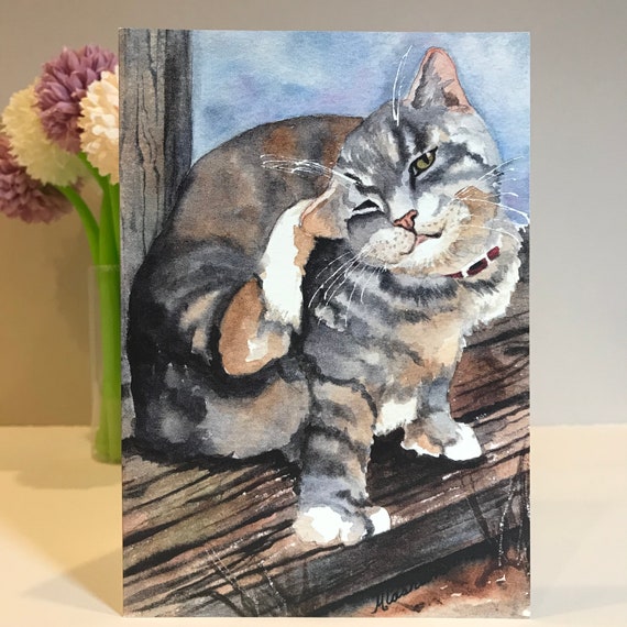 Set of 8 | Various Cat Greeting Card Pack | Bundle of 8 Cards | Kitty