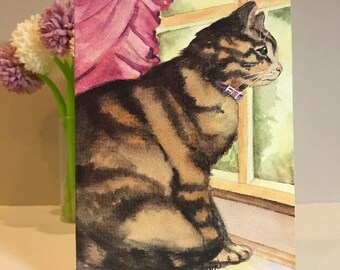 Set of 8 | Various Cat Greeting Card Pack | Bundle of 8 Cards | Kitty