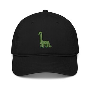 Really Cool Dinosaur Hat