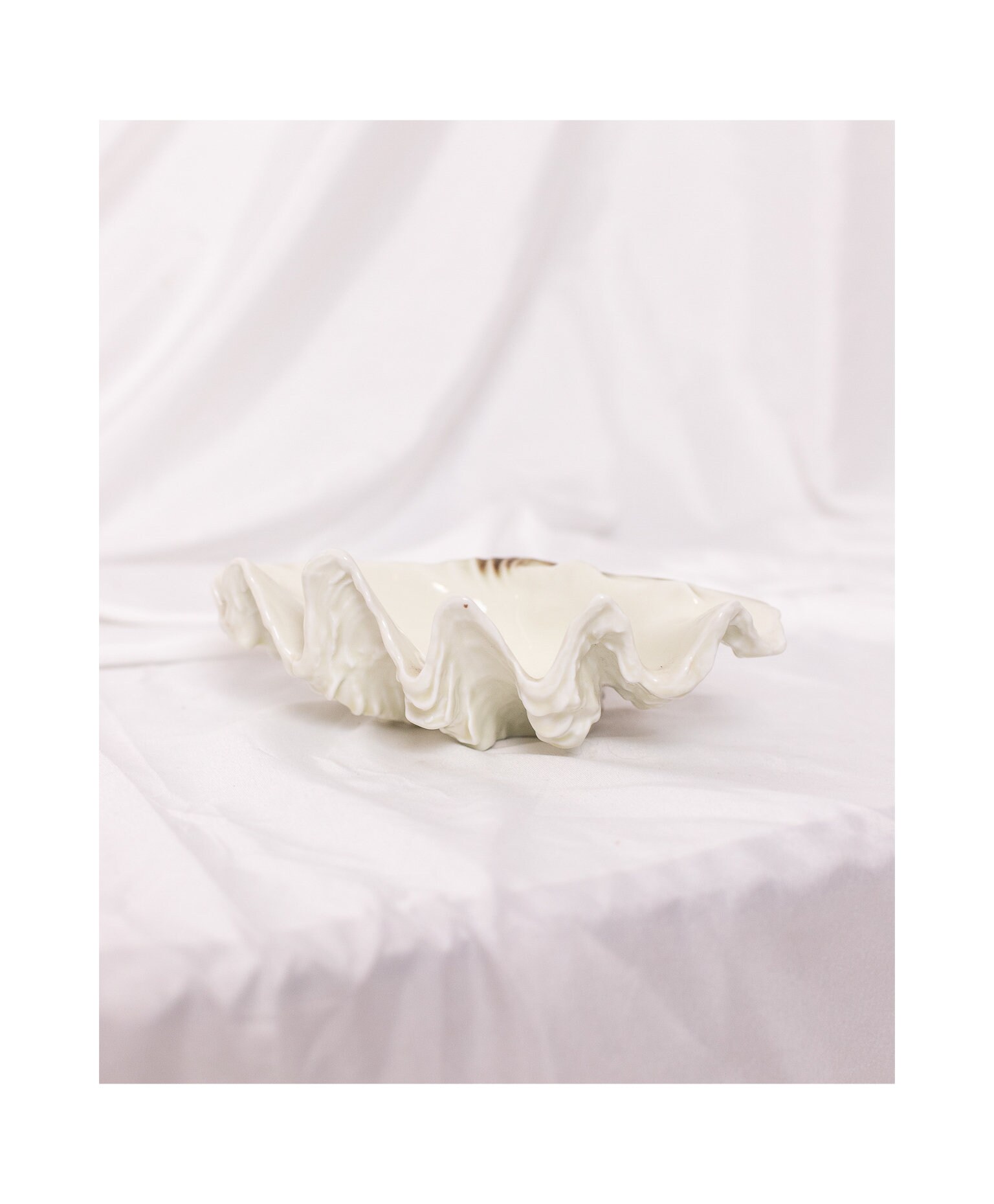 Shell ceramics