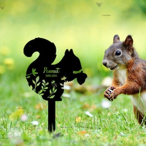 Personalized Squirrel Metal Sign, Squirrel Gift, Custom Squirrel Sign, Squirrel Decor, Cabin Decor, Garden Decor, Housewarming Gift