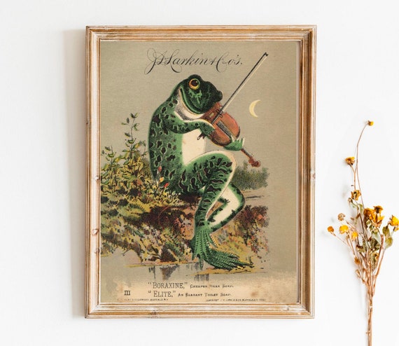 Frog on sale playing violin