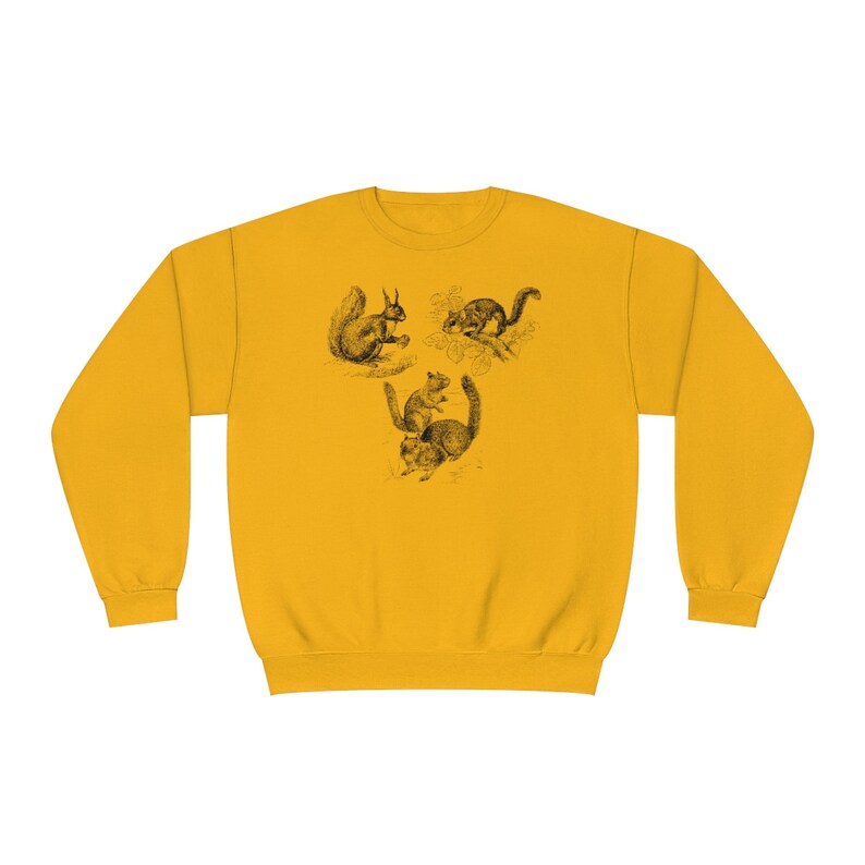 Squirrel Chenille Emb Sweatshirt - Yellow main image 1