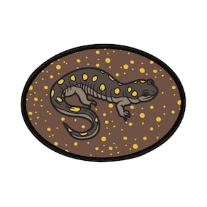 Może przedstawiać: Brązowo-żółta salamandra plamista z czarnymi plamkami na brązowym tle z żółtymi kropkami.