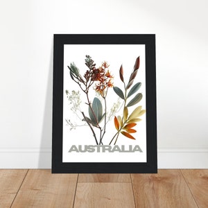 West Australian Wild Flowers,  Flower Wall Art, Framed Posters,Best Australian gifts,House warming Gifts
