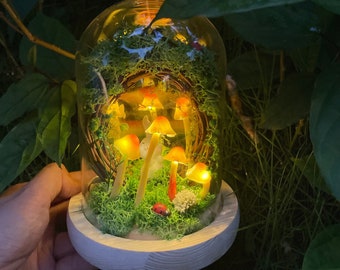 May include: A glass dome terrarium with a miniature forest scene. The terrarium contains moss, small white mushrooms, and a small white rabbit figurine. The mushrooms are lit with small LED lights, creating a warm glow.