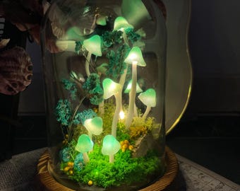May include: A glass dome with a wooden base containing a miniature forest scene with glowing green mushrooms and moss.