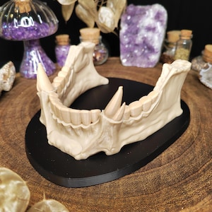 Könnte beinhalten: Ein beigefarbenes, 3D-gedrucktes menschliches Kiefermodell mit sichtbaren Zähnen, auf einer schwarzen, kreisförmigen Basis. Der Kiefer wird vor einem Hintergrund aus Kristallen, Gläsern und einem dekorativen pilzförmigen Objekt präsentiert.