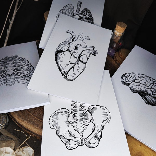 Anatomie Notizbuch Knochen Herz Arzt
