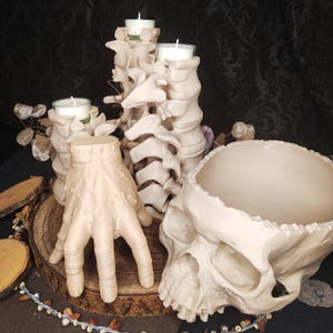 Könnte beinhalten: Ein Set aus drei Kerzenhaltern aus beigefarbenem, knochenartigem Material. Die Kerzenhalter sind in Form einer menschlichen Hand, einer menschlichen Wirbelsäule und eines menschlichen Schädels gestaltet. Der Schädel ist ausgehöhlt und kann als Pflanztopf verwendet werden.