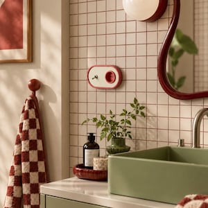 Può includere: Un'area lavabo da bagno con un lavandino rettangolare verde salvia, una parete piastrellata bianca con griglia rossa, una lampada con bordo rosso, una presa elettrica con bordo rosso, uno specchio con bordo rosso e un asciugamano a scacchi rossi.