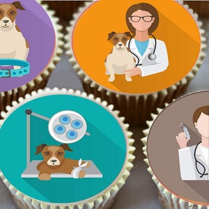 Veterinarian Round Pre-Cut Edible Cup Cake Topper Decorations