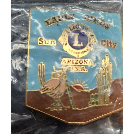 Bannière Vintage Lions Club International - Drapeau Chili New York Lioness - Occasion