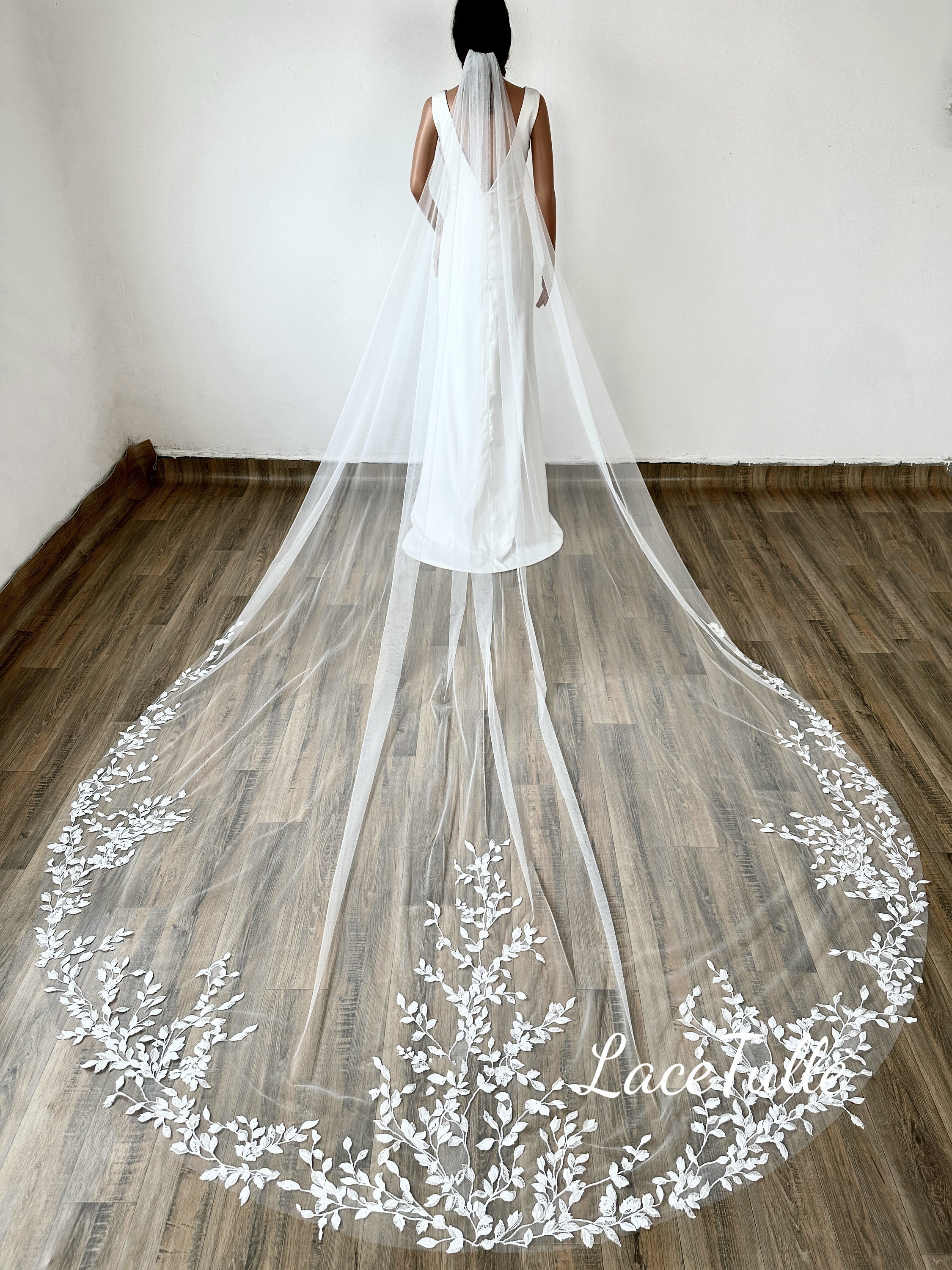 Long tail lace veil