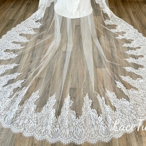 2 Tier Lace Veil, Vintage Bridal Veil, Cathedral Wedding Veil, Ivory Lace Veil, Bridal Veil, Lace Applique Veil, Blush Veil