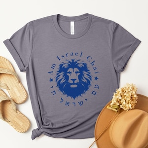 Am Israel Chai Shirt, Judah Lion Shirt, Israeli T-shirt, Support Israel Shirt Star of David Shirt Israel Lover Gift Jewish Gift Israeli Gift