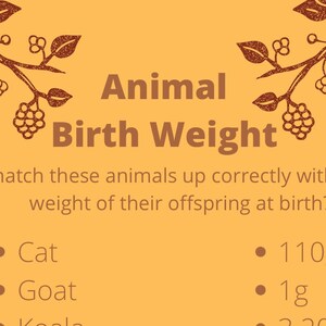 Instant digital download for three woodland creature inspired baby shower games