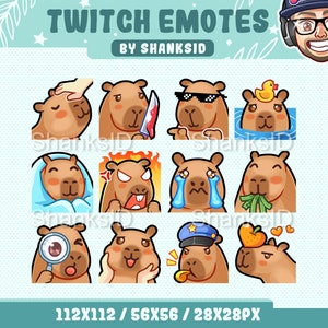 Capybara Emotes Pack, Twitch & Discord Set (PNG Files, Digital Download)