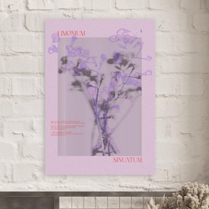 Poster grafico con fiori di lavanda di mare - Rosa, rosso e blu - Qualità premium