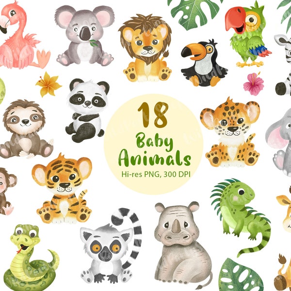 Safari Jungle Animals Nursery clipart, Watercolor African Wild One, Baby shower Sloth Giraffe Lion Tiger Elephant Flamingo Panda Palm PNG