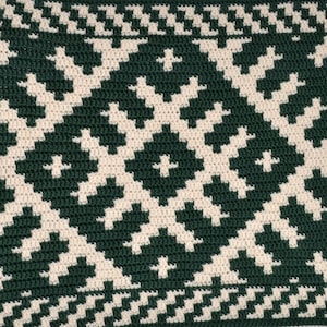 May include: A green and white crocheted throw pillow with a geometric pattern and fringe on the edges.