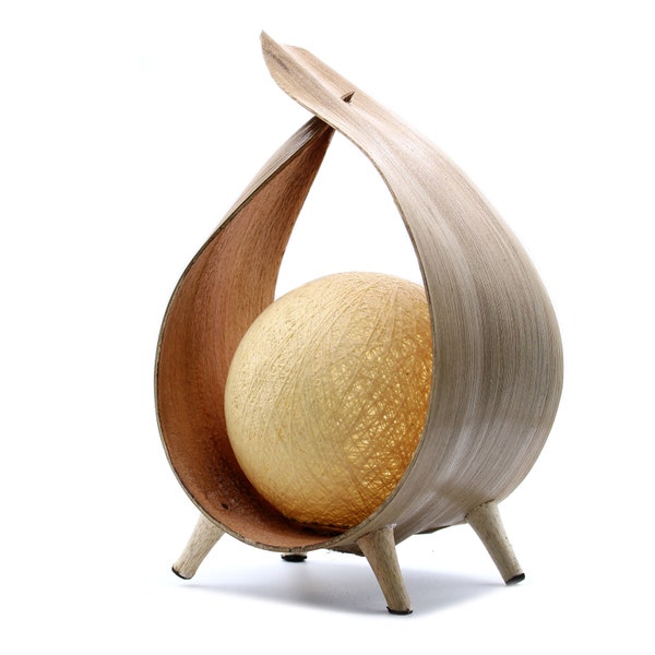 Beautifully Handcrafted Natural Coconut Lamp