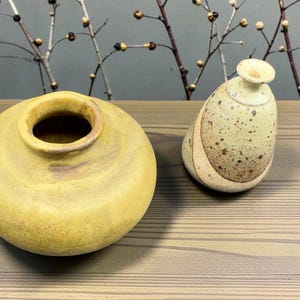 Peut inclure: Deux vases en céramique. L'un est un vase rond et jaune avec une large ouverture. L'autre est un vase blanc cassé tacheté avec un col étroit et un corps arrondi. Les deux vases sont sur une surface en bois.