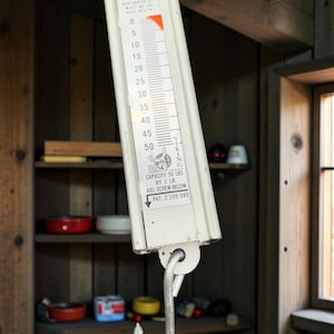 Peut inclure: Une balance à ressort suspendue Hanson Viking blanc cassé avec un crochet en métal en bas. La balance présente une jauge de mesure verticale de 0 à 50 lbs, avec le texte Hanson, Viking, Capacity 50 lbs by 1 lb et Pat. 2,299,980.