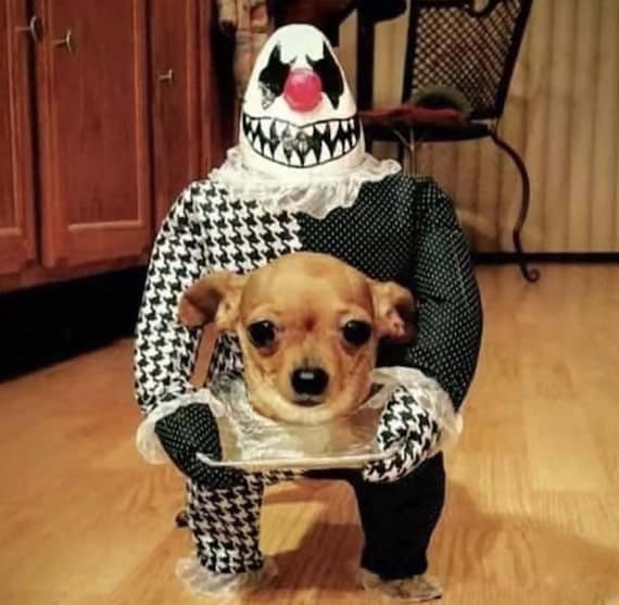 Pet Dog Costume Creativity Devil Dog Costume Suitable for Etsy
