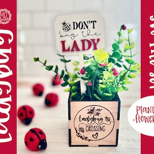 Arredamento coccinella Non infastidire la scelta del fiore della signora, oltre a coccinella che attraversa la scatola della pianta glowforge, cricut, Silhouette laser cut file SVG flower box 3"