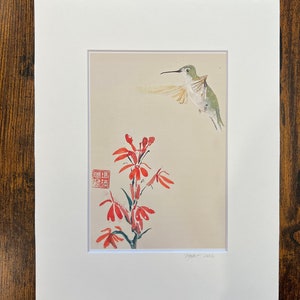Impression Colibri avec fleur cardinale 5 x 7 x passe-partout au choix 8 x 10