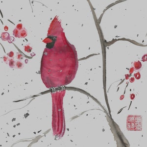 Cardinal in verschneit 13x18 mit Passepartout 13x18