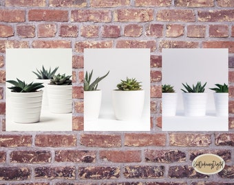 Printable Wall Art | Set of 3 | Home Decor | Succulent Prints | Plant Wall Art | Minimalist