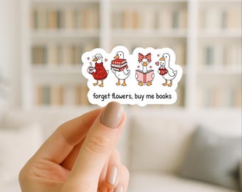 Valentine Silly Goose/water-resistant sticker/laminate sticker/coquette sticker/laptop sticker/kindle sticker